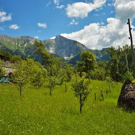 Apartment Kozjak Kobarid
